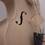 A 3D-printed Stradivarius violin
